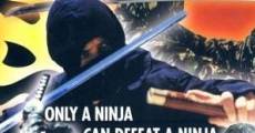 Película Ninja Protector