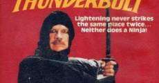 Película Ninja Thunderbolt