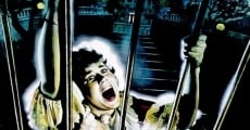 Hell Night (1981) stream