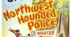 Northwest Hounded Police