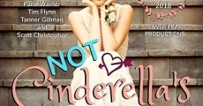 Cinderella Love Story - A New Chapter