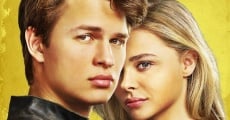 November Criminals