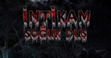 Intikam Soguk Dus (2020) stream