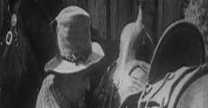 Nugget Jim's Pardner (1916) stream