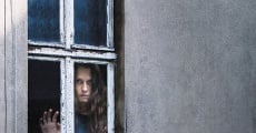 Berlin Syndrome (2017) stream