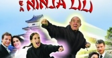 Película La guerrera Didi y la ninja Lili