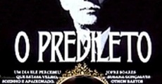 O Predileto (1975) stream