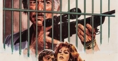 Quel pomeriggio maledetto (1977) stream