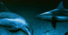 Wild Ocean 3D