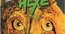 Olle Hexe (1991) stream