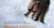 Eternal Sunshine of the Spotless Mind (2004) stream