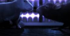 One Rat Short (2006)