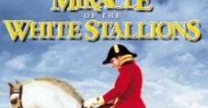 Miracle of the White Stallions (1963) stream