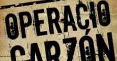 Operació Garzón contra l'independentisme català