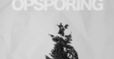 Opsporing (2014) stream