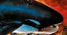 Película Orca, la ballena asesina