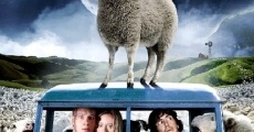 Black Sheep (2006) stream