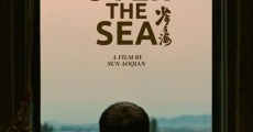 Ver película Over the Sea
