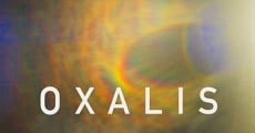 Filme completo Oxalis