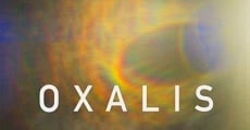 Oxalis (2018) stream