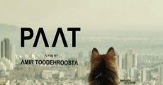 Paat (2013)