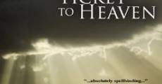 Ticket to Heaven (1981) stream