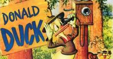 Walt Disney's Donald Duck: Old Sequoia streaming