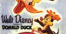 Película Pato Donald: Loco por Daisy