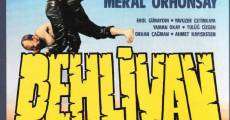 Pehlivan (1984) stream