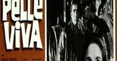 Pelle viva film complet