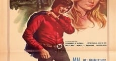 Pensiero d'amore (1969) stream