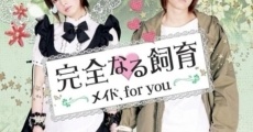 Filme completo Kanzen naru shiiku: Meido, for you