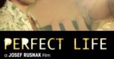 Filme completo Perfect Life