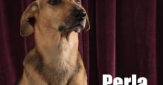 Perla: La Película (2015) stream