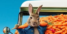 Pierre Lapin 2: Panique en ville streaming