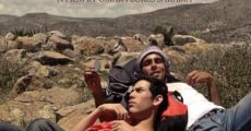Peyote streaming