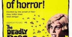 The Deadly Bees (1966) stream