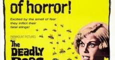 The Deadly Bees (1966)