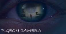 Pigeon Camera (2013) stream