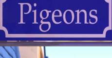 Pigeons (2010) stream