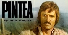 Pintea (1976)