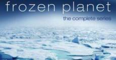 Frozen Planet