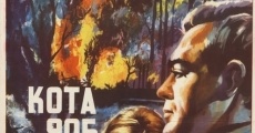 Kota 905 (1960) stream