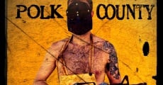 Polk County (2015) stream