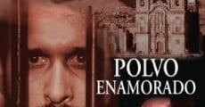 Polvo enamorado