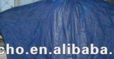 Ponchos azules