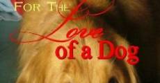 For the Love of a Dog