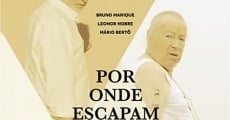 Por Onde Escapam As Palavras (2017)