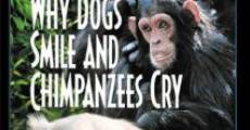 Ver película ¿Por qué los perros sonríen y los chimpancés lloran?