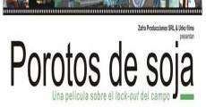 Porotos de soja